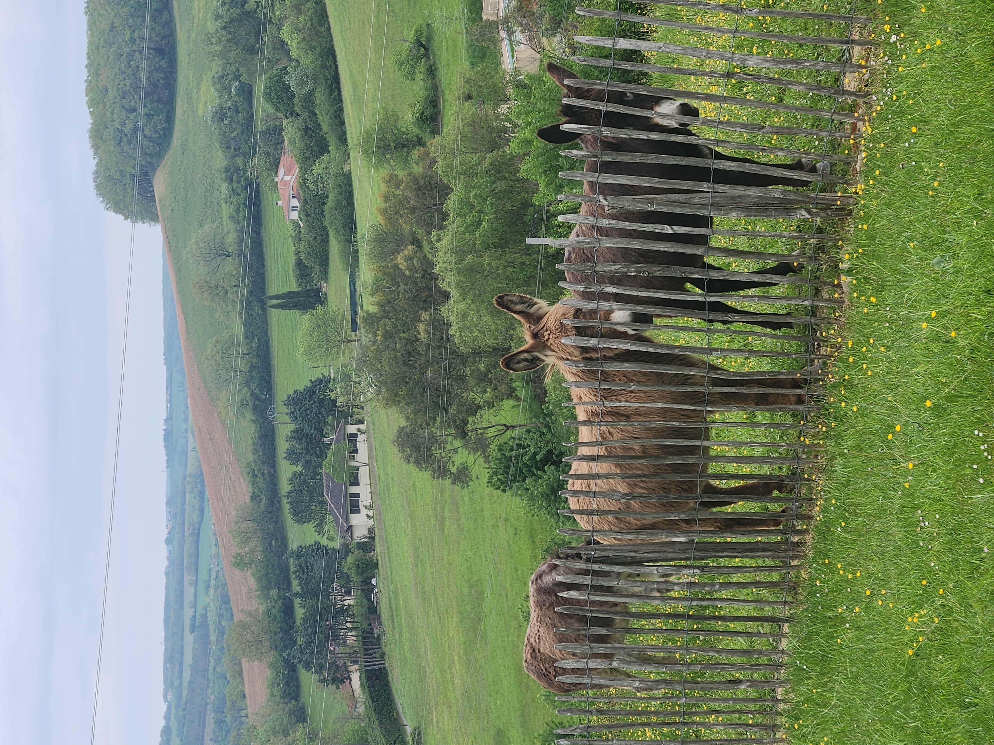 20240415_112956.jpg (3.63 MB)