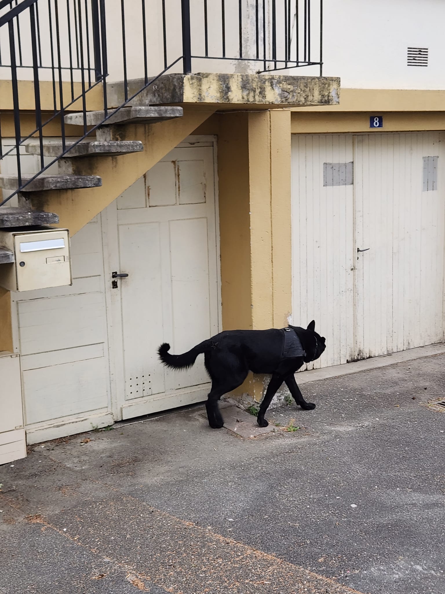 440759935_948244120431103_1498357760792268168_n.jpeg (401 KB)