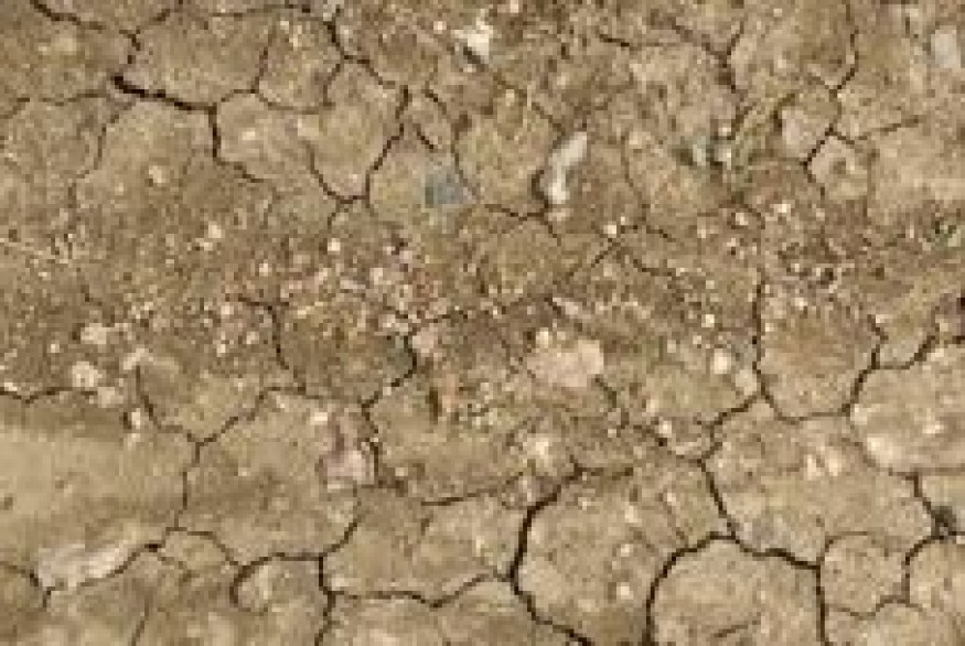 Sécheresse : le Gers place plusieurs cours d’eau en vigilance
